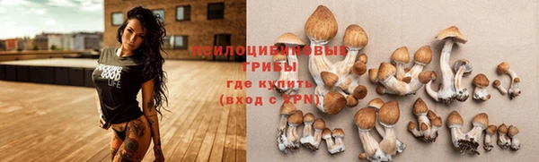 ПСИЛОЦИБИНОВЫЕ ГРИБЫ Липки