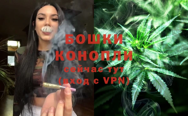 ПСИЛОЦИБИНОВЫЕ ГРИБЫ Липки