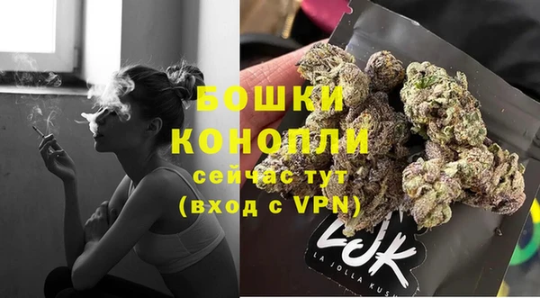 ПСИЛОЦИБИНОВЫЕ ГРИБЫ Липки
