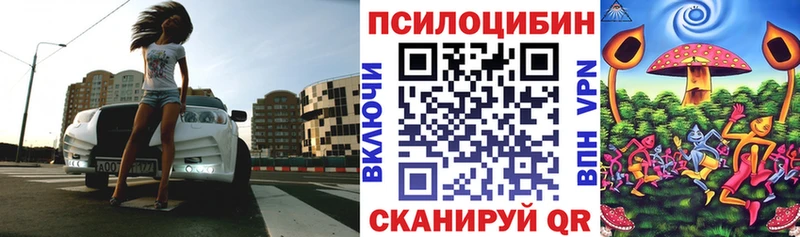 Галлюциногенные грибы Cubensis  Мещовск 